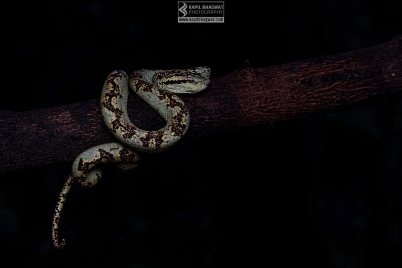 ||||||||||||||||||||