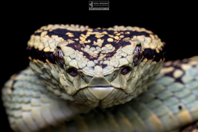 ||||||||||||||||||||