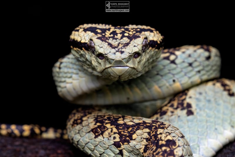 ||||||||||||||||||||