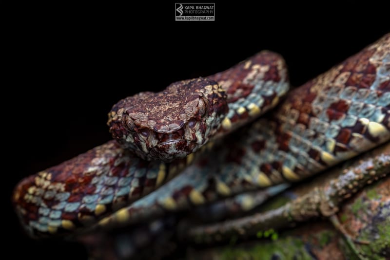 ||||||||||||||||||||