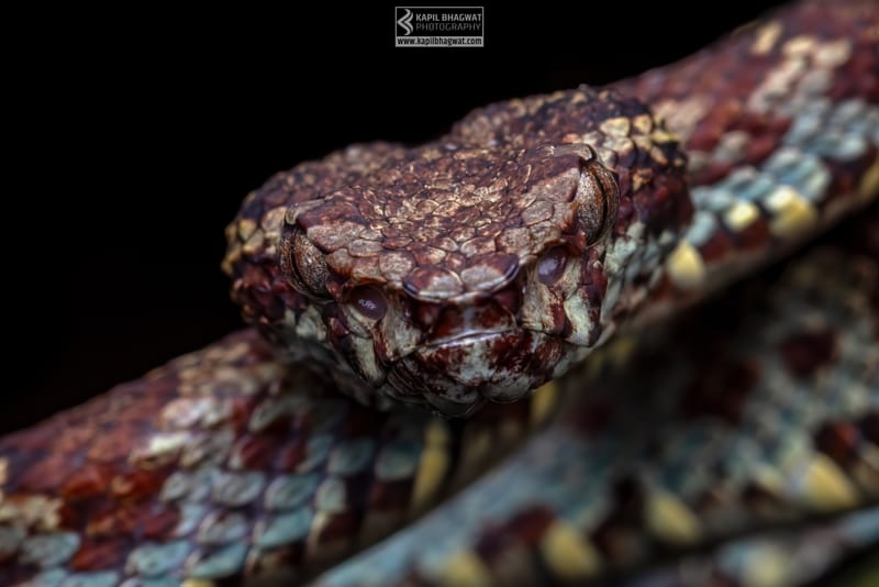 ||||||||||||||||||||