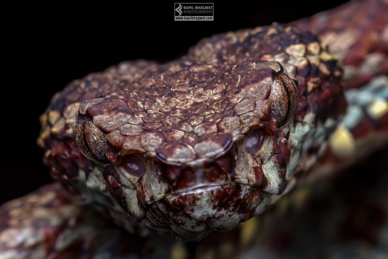 ||||||||||||||||||||