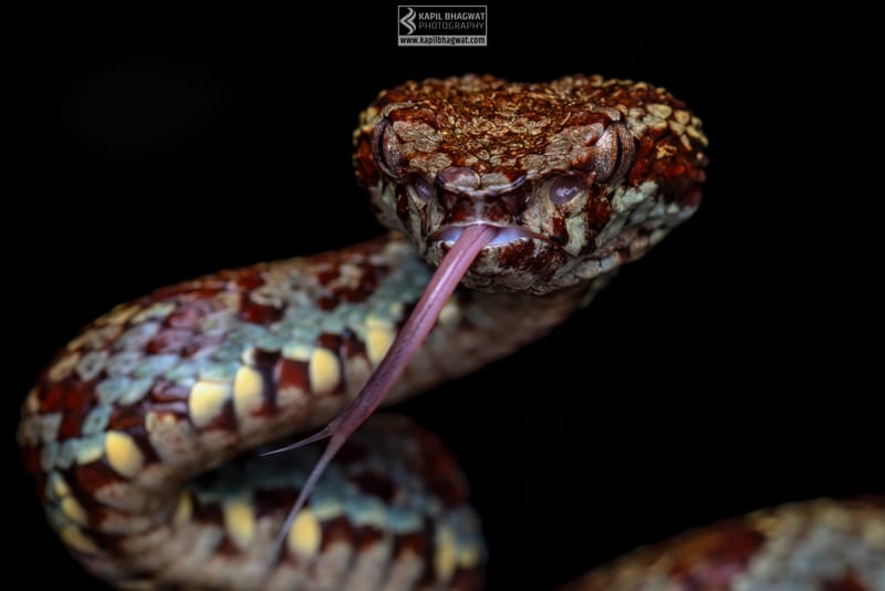 ||||||||||||||||||||