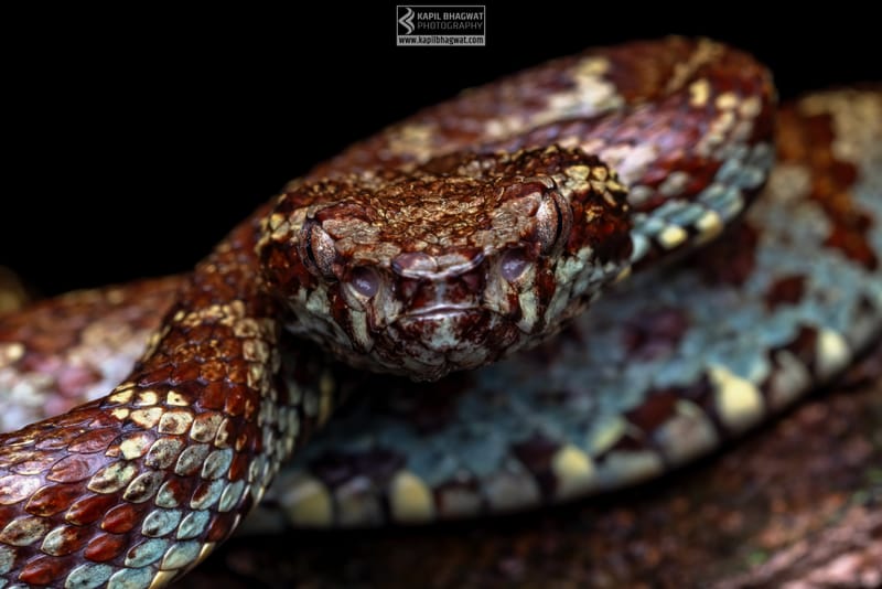 ||||||||||||||||||||