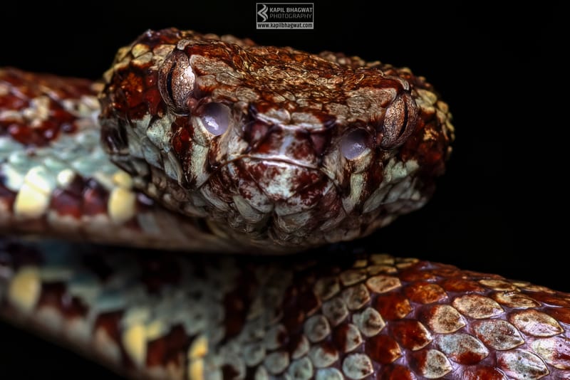 ||||||||||||||||||||