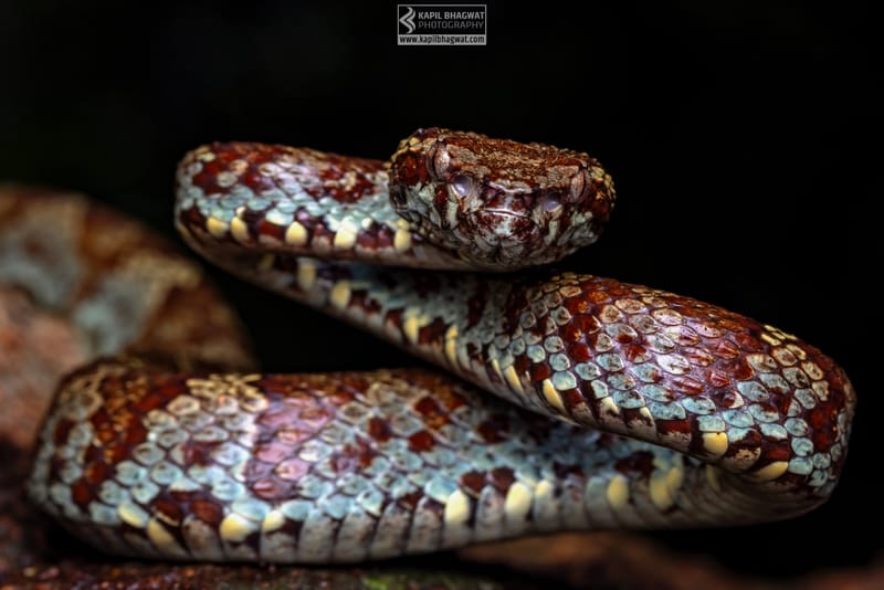 ||||||||||||||||||||