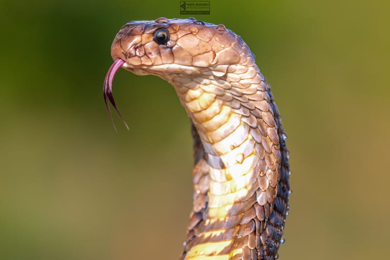 ||||||||||||||||||||