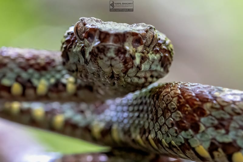 ||||||||||||||||||||