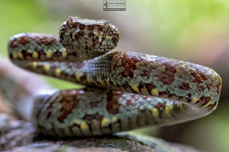 ||||||||||||||||||||