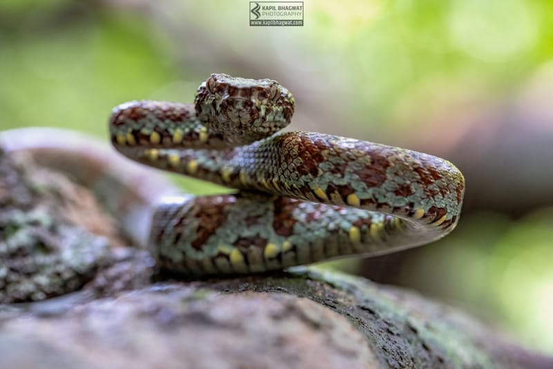 ||||||||||||||||||||