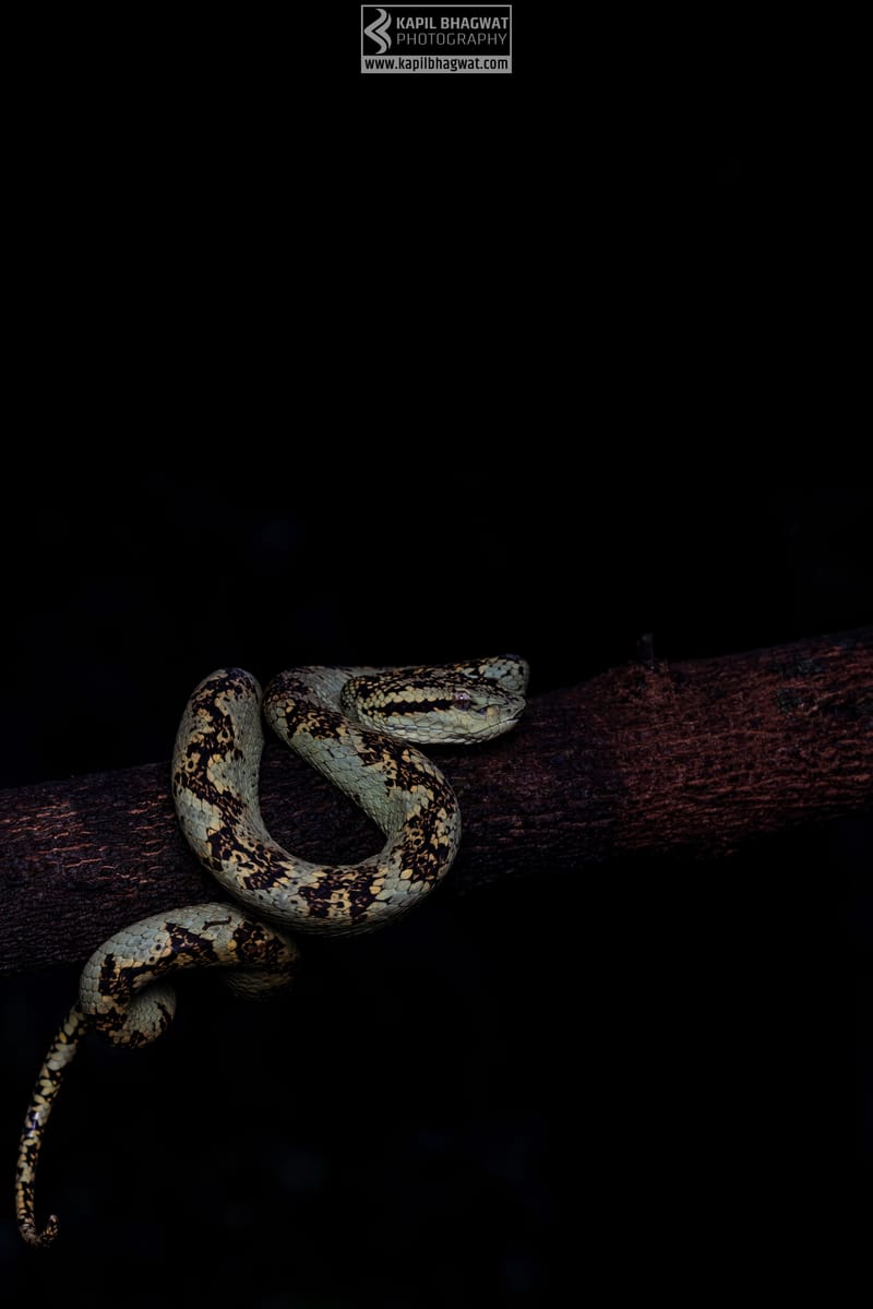 ||||||||||||||||||||