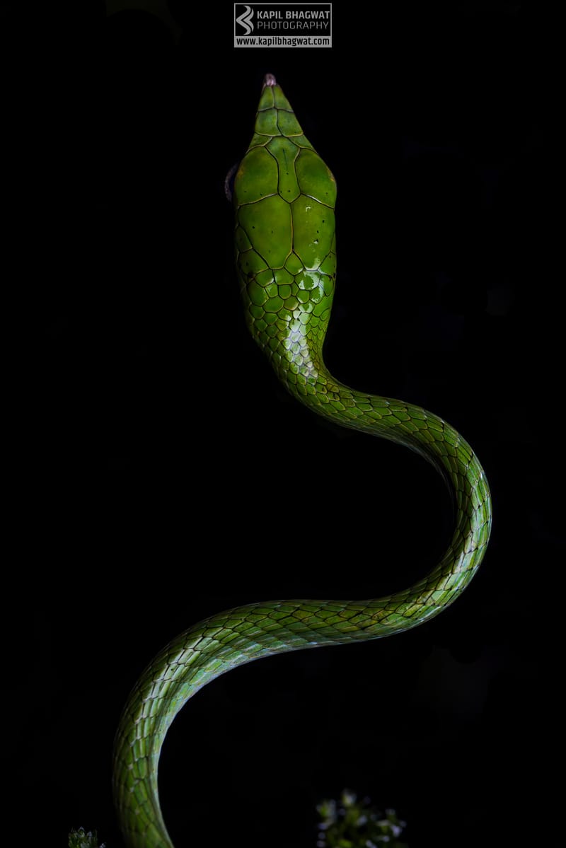 ||||||||||||||||||||