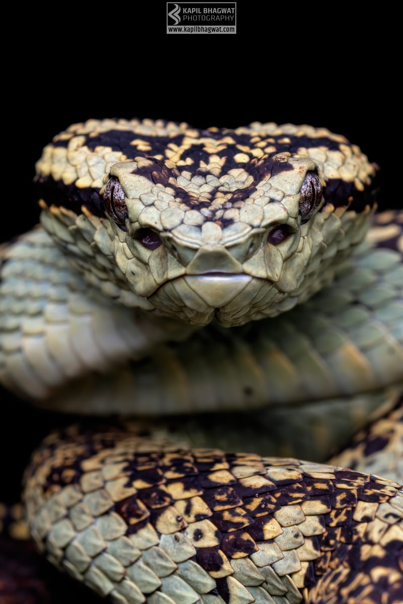 ||||||||||||||||||||