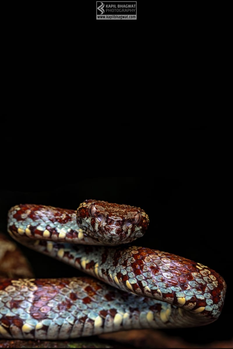 ||||||||||||||||||||