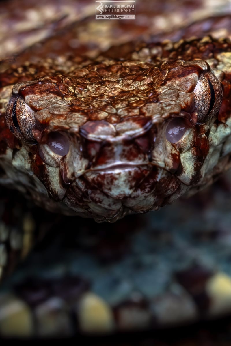 ||||||||||||||||||||