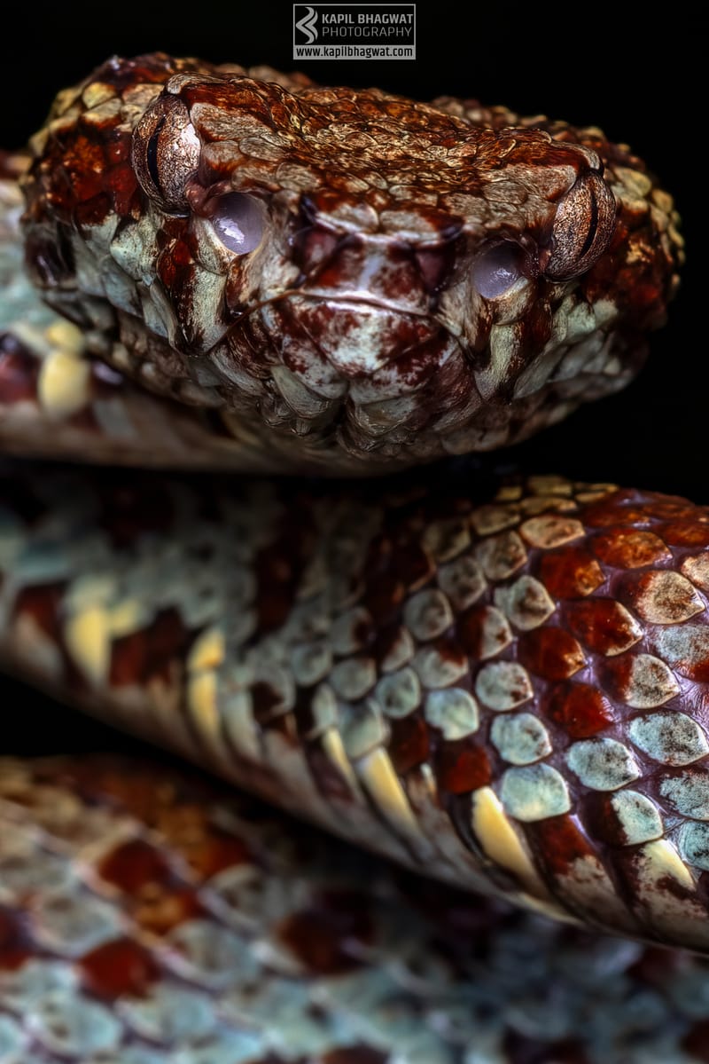 ||||||||||||||||||||