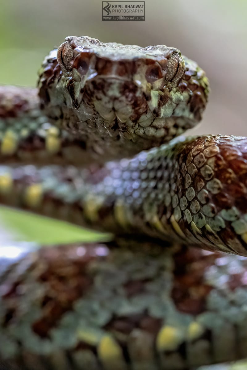 ||||||||||||||||||||