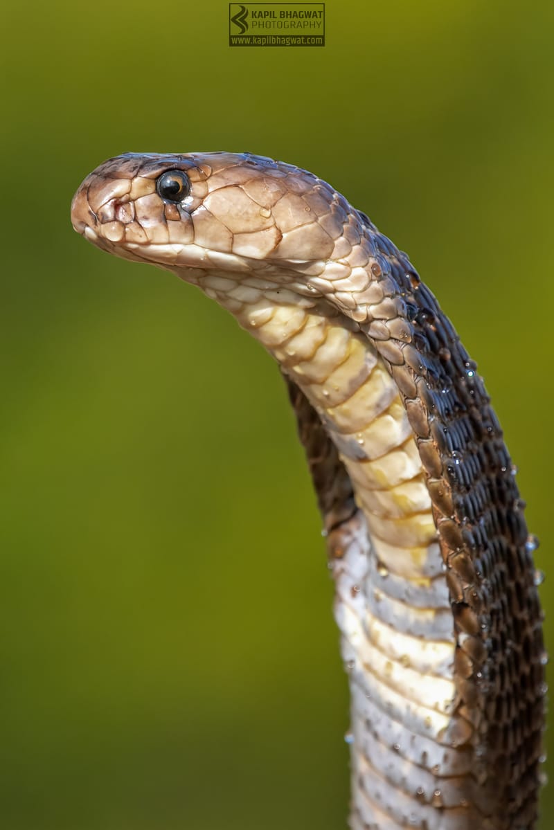 ||||||||||||||||||||