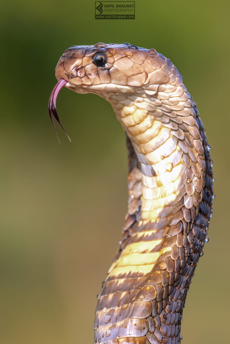 ||||||||||||||||||||