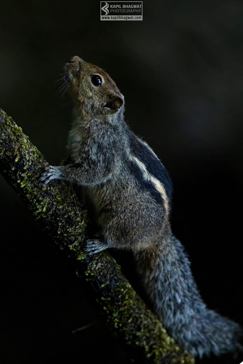 -[ Tales of Tenderness ]-