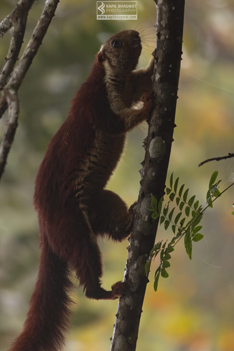 -[ Tales of Tenderness ]-