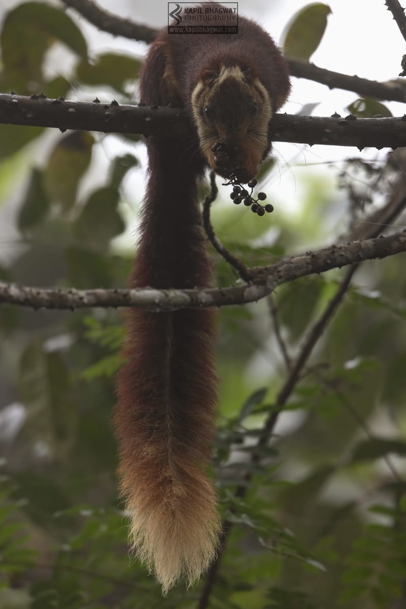 -[ Tales of Tenderness ]-