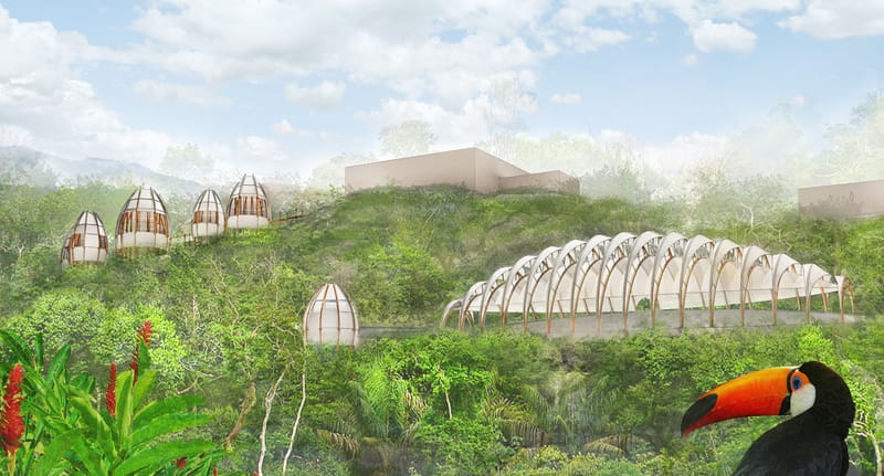 altán █ Costa Rica, Bahia Ballena