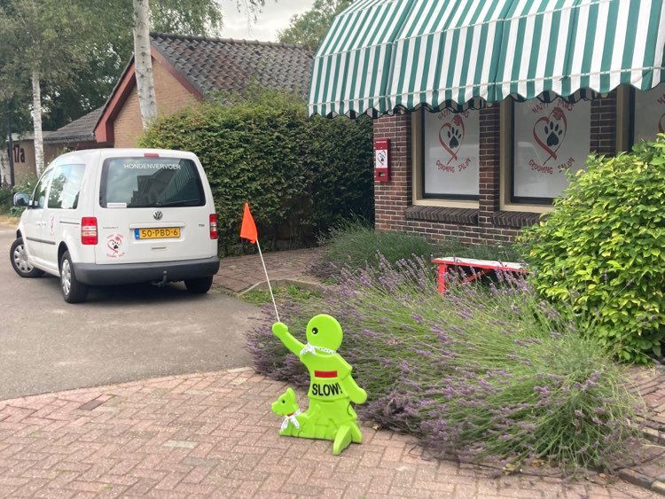 DOG's PICK UP & RETURN SERVICES