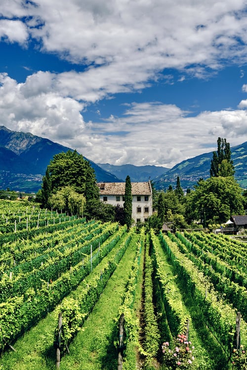 The AGRIP Programme: a European Instrument for the promotion of agricultural products