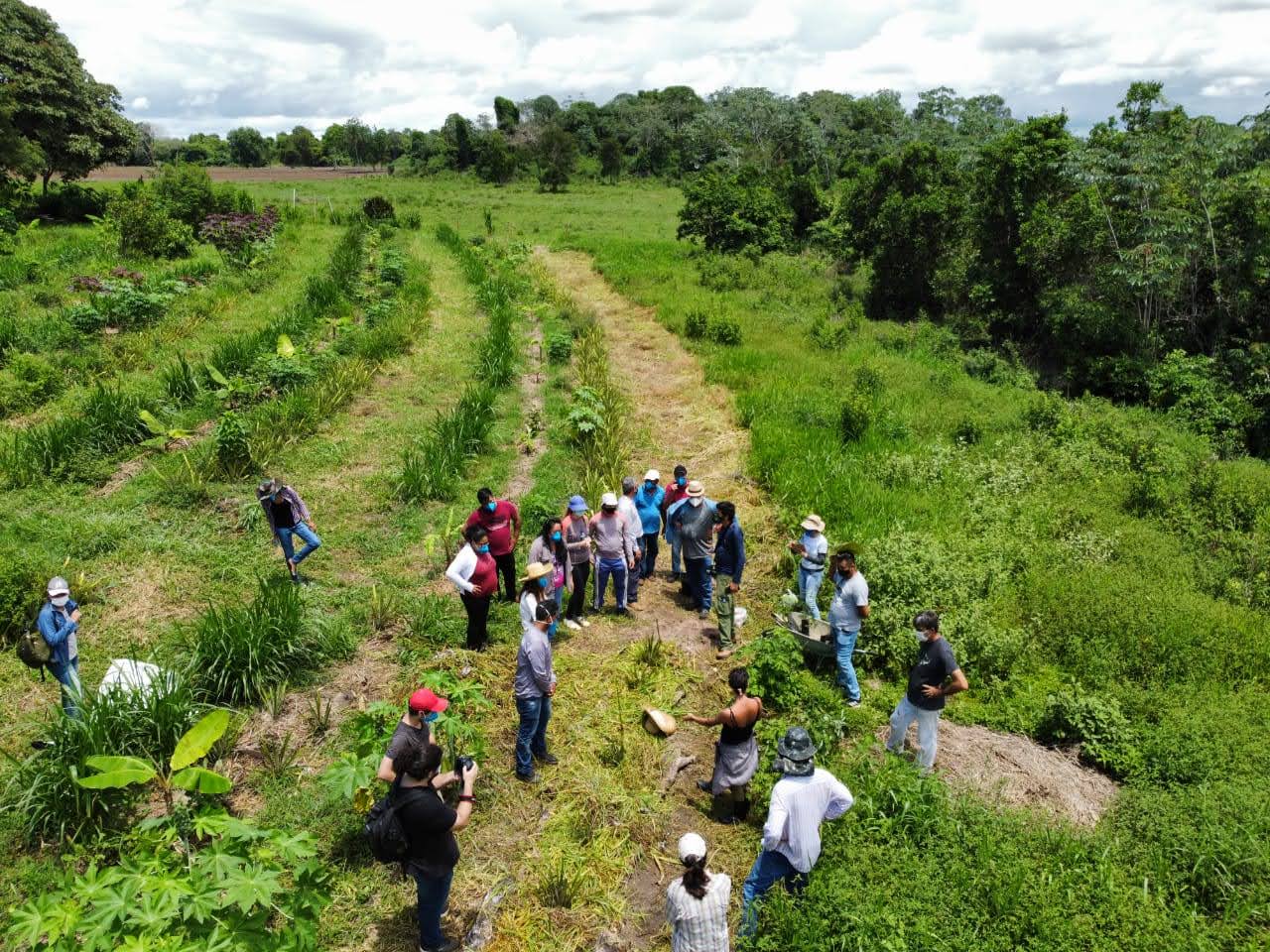 Agrofloresta Xama Xuva