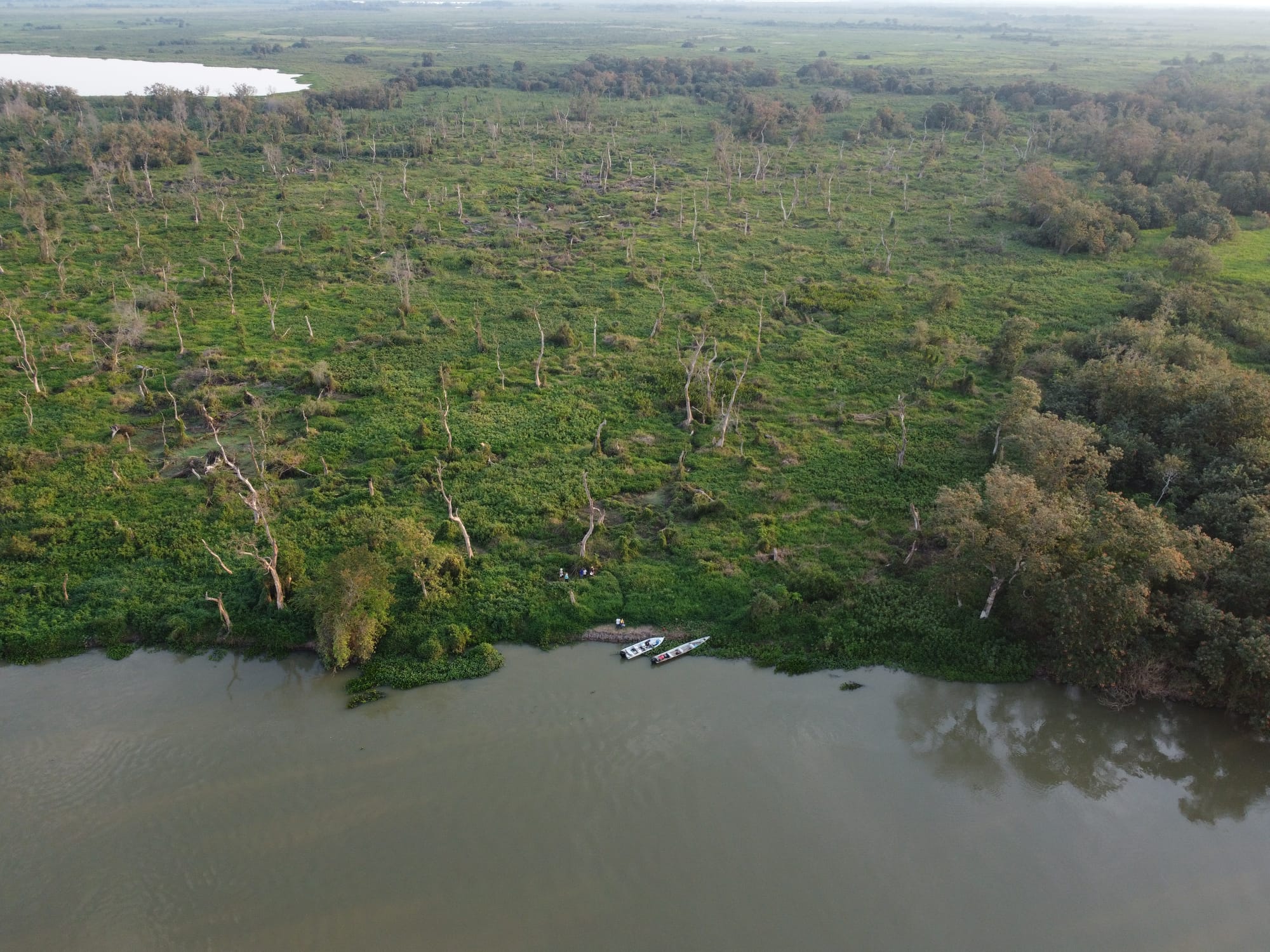 O PROJETO RESTAURA PANTANAL ESTÁ REALIZANDO PLANTIO SIMULTÂNEO NA ESTAÇÃO ECOLÓGICA DE TAIAMÃ E EM ÁREAS DE NASCENTES DO PANTANAL