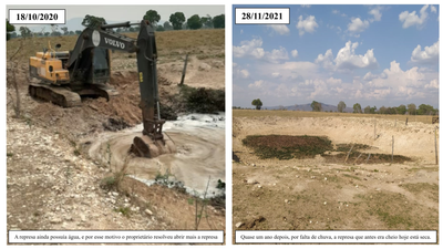 A FALTA DE CHUVA NO PANTANAL PREOCUPA CRIADORES DE GADO