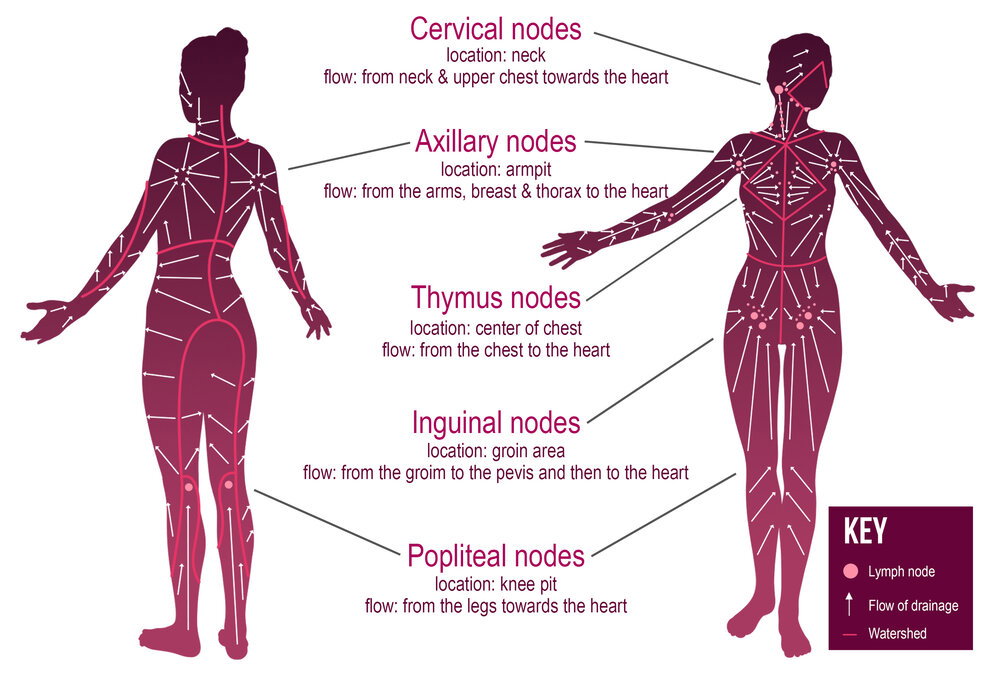 Lymphatic Massage