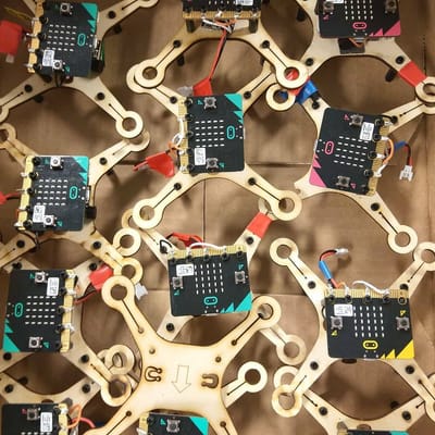 חלוקת מיקרוביט + רחפנים 4/3/2021 image