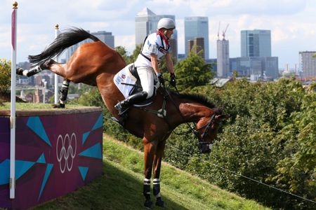 What is showjumping?