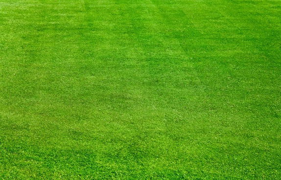 Tips To Win At Sports Betting?