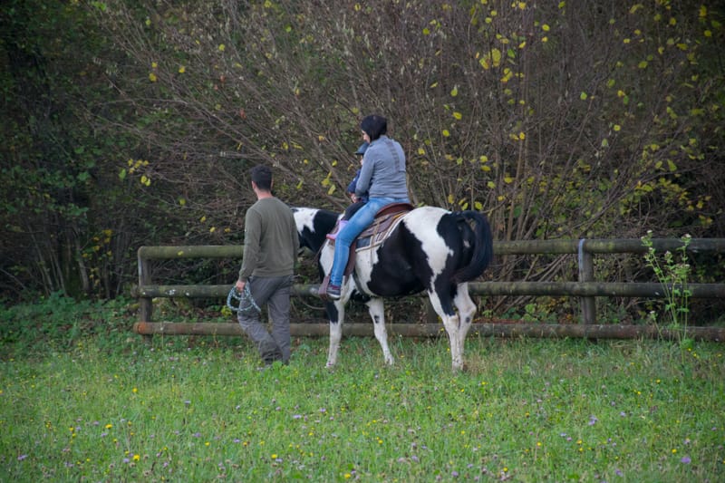 PASSEGGIATE A CAVALLO