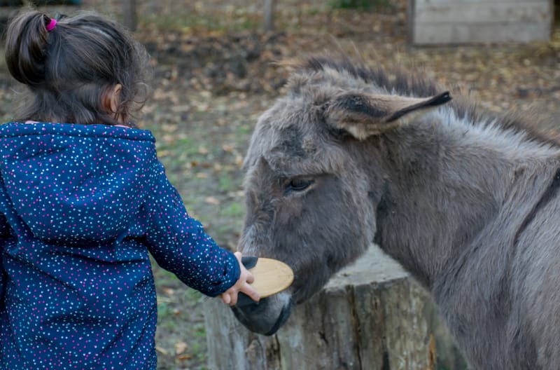 ATTIVITA' PER I BAMBINI