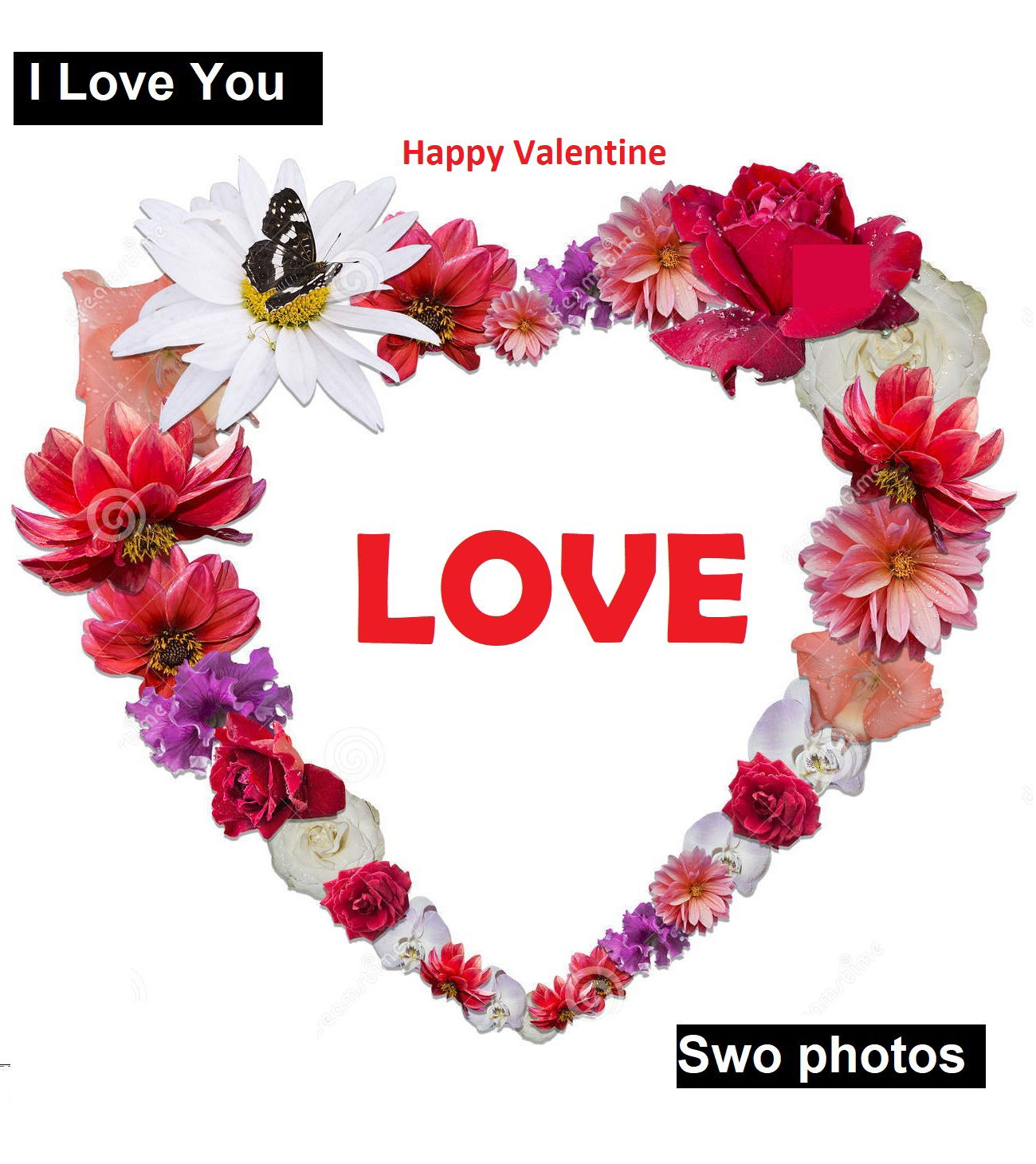 Positive Quotes via Sweetness-Don't-Lie to celebrate Valentine 