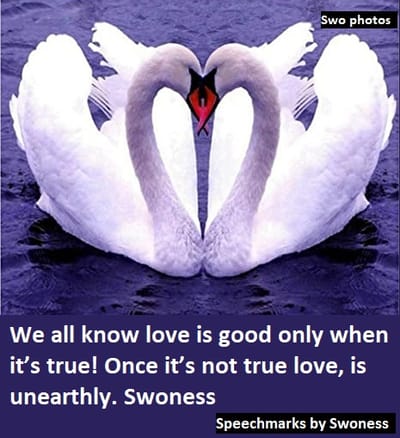  FIND OUT something about sweetness don&#039;t lie - your favourite site image