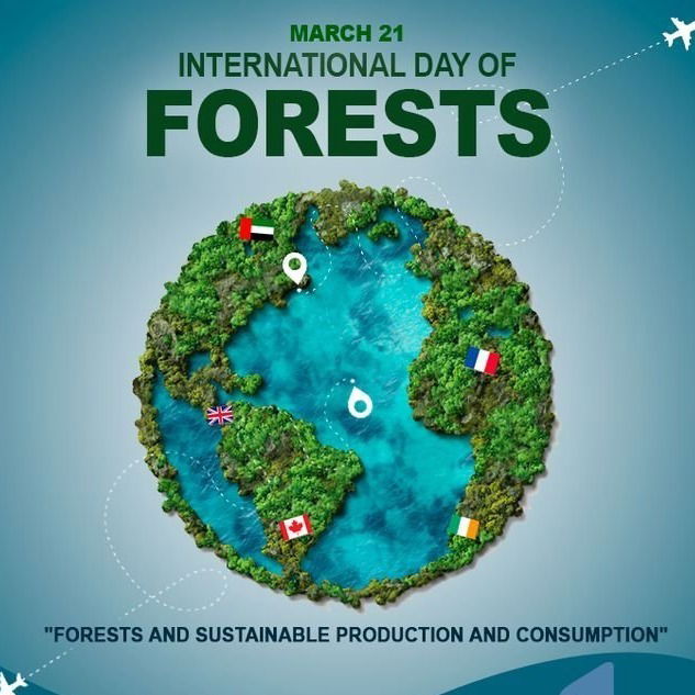 Celebrating the Importance of Forests: Understanding the Role of Forest Day