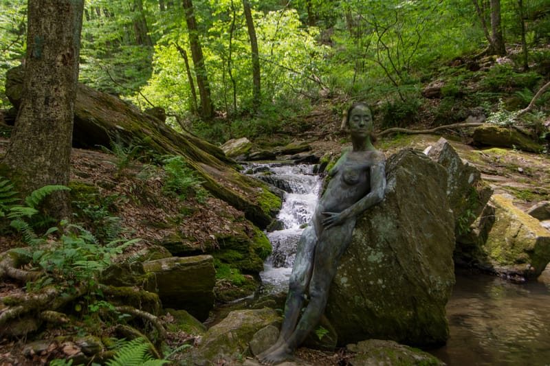 Camouflage Body painting 