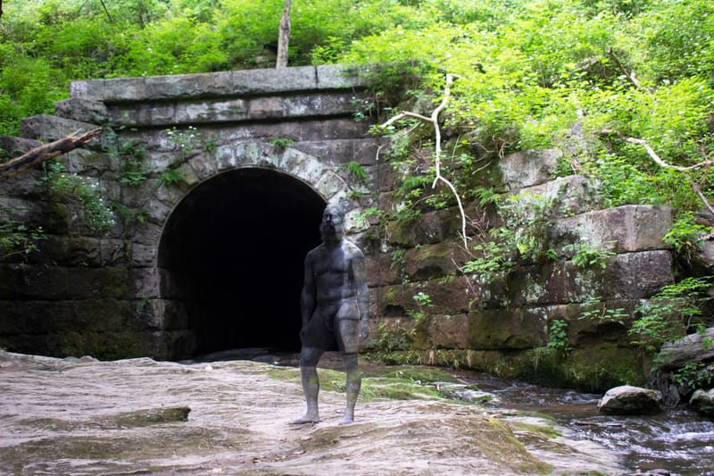 Camouflage Body painting 