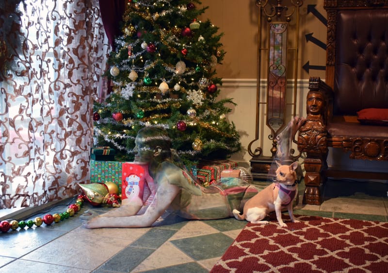 Camouflage Body painting 