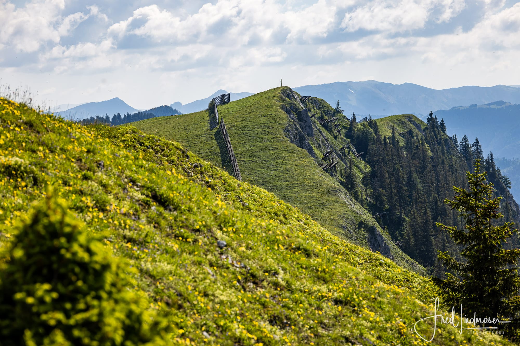 https://www.mariazellerland-blog.at/wandertouren/