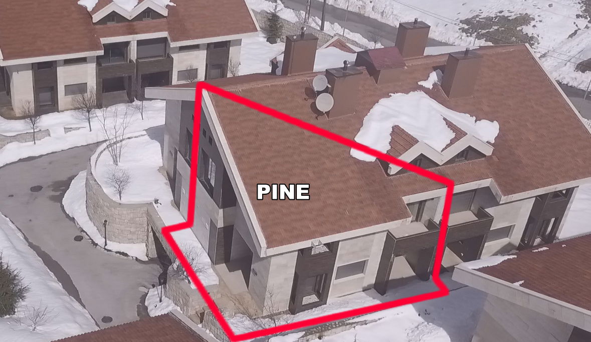 Pine F-2 apartment: quiet 3 bedroom setup