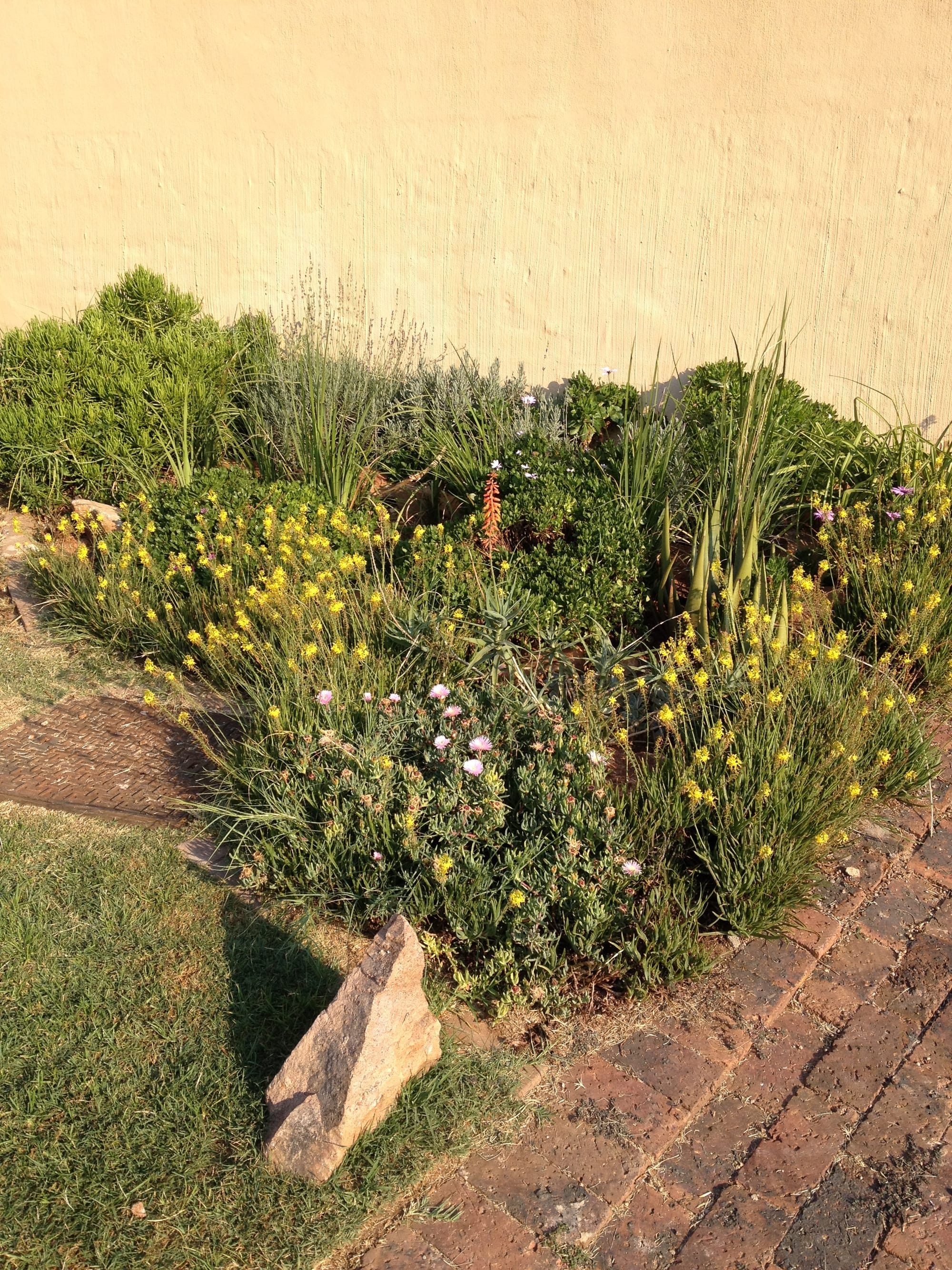 First garden design