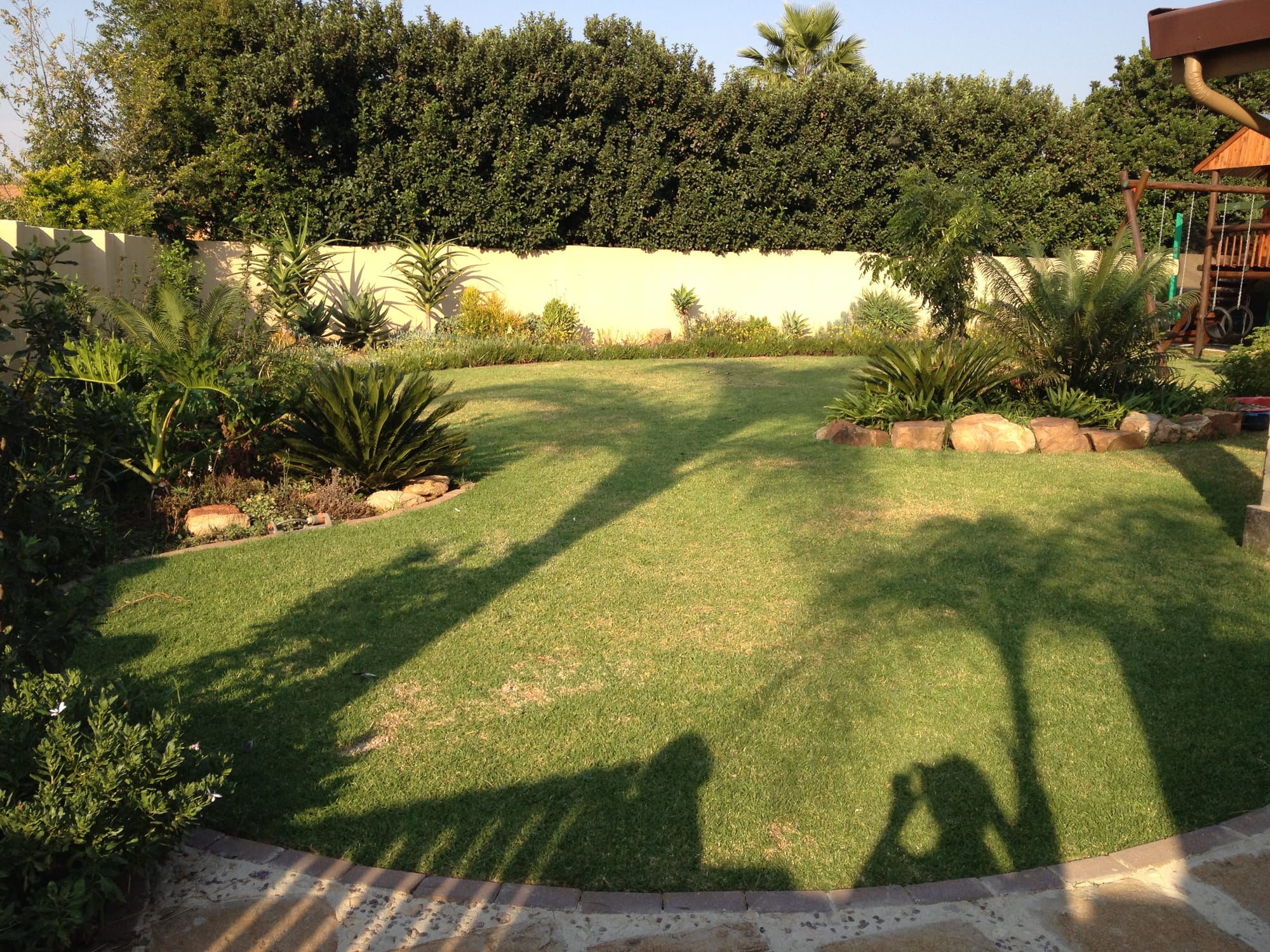 First garden design