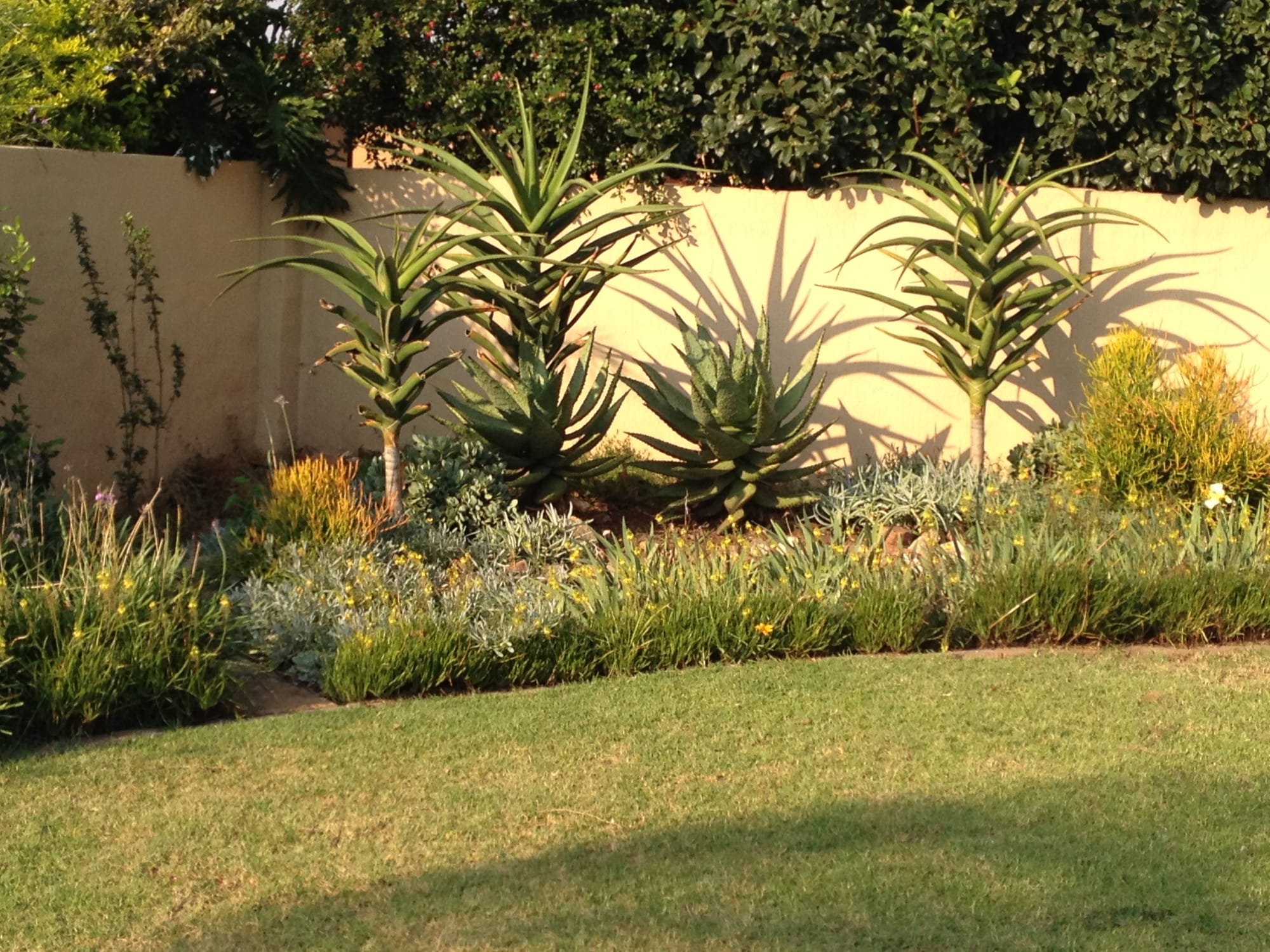 First garden design