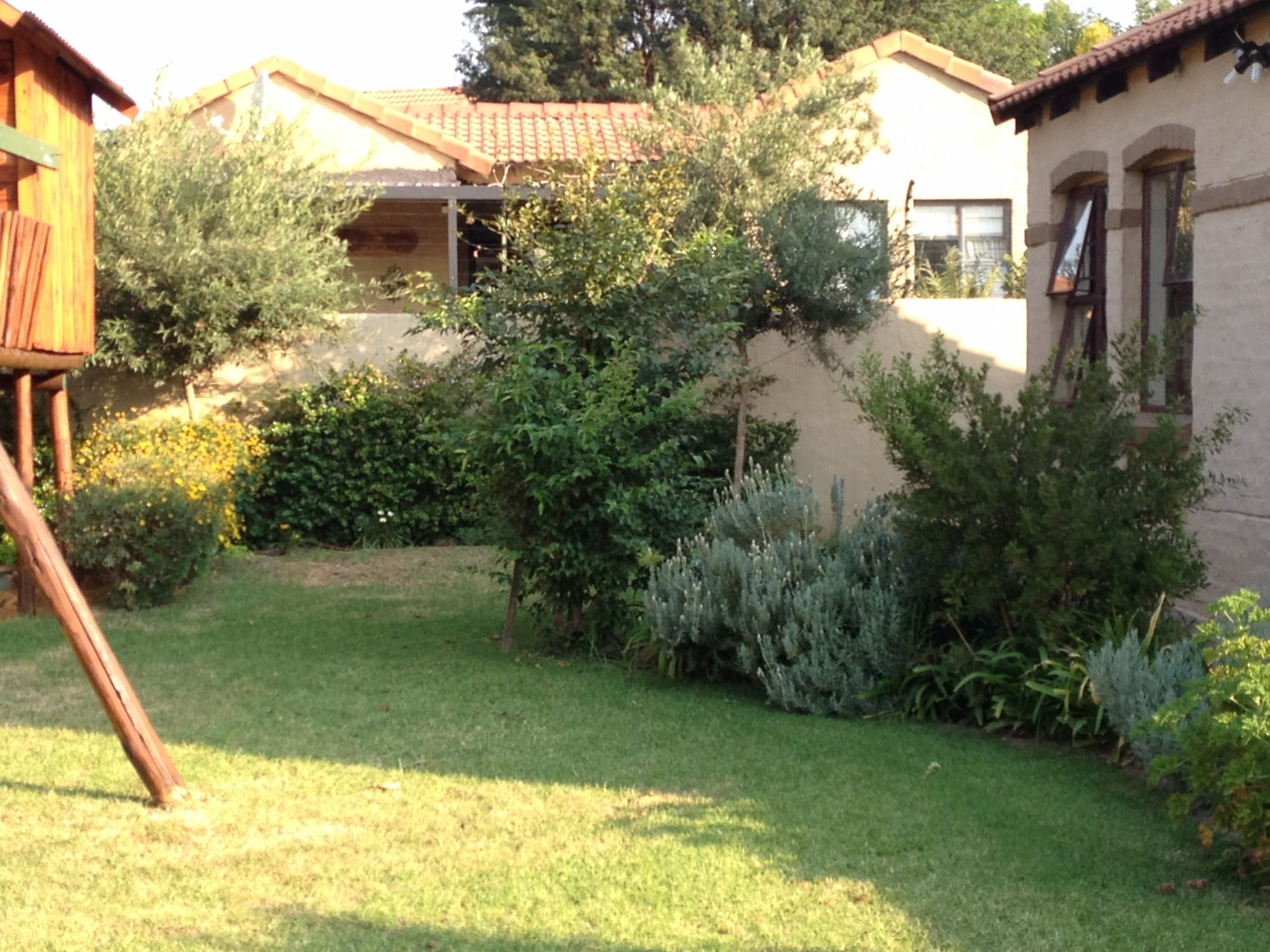 First garden design